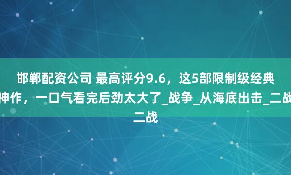 邯郸配资公司 最高评分9.6，这5部限制级经典神作，一口气看完后劲太大了_战争_从海底出击_二战