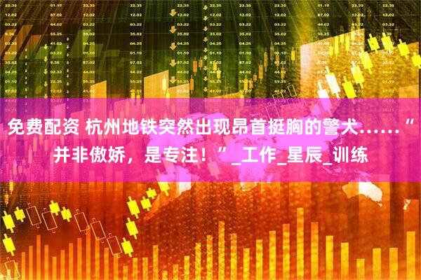 免费配资 杭州地铁突然出现昂首挺胸的警犬……“并非傲娇，是专注！”_工作_星辰_训练