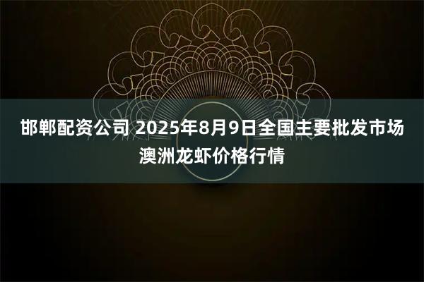 邯郸配资公司 2025年8月9日全国主要批发市场澳洲龙虾价格行情