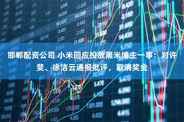 邯郸配资公司 小米回应投放黑米博主一事：对许斐、徐洁云通报批评，取消奖金